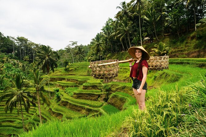 Best of Ubud 1-Day Private Tour - How this 8-9 hour Ubud plan actually works