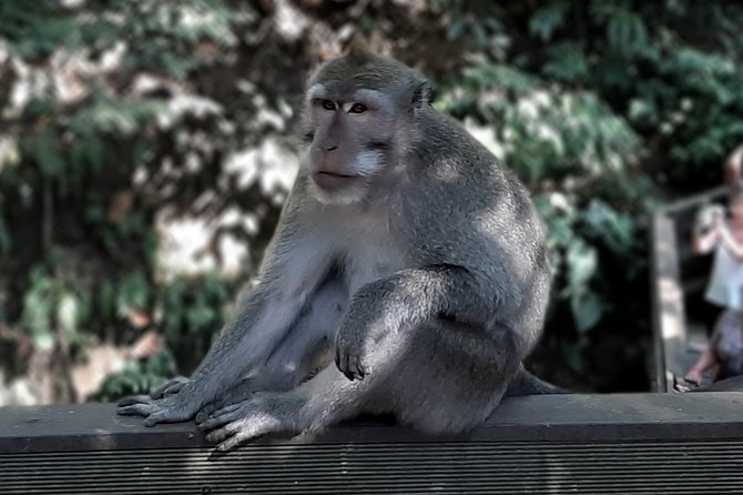 Best of Ubud - All Inclusive - Best of Ubud All Inclusive: the day’s big idea