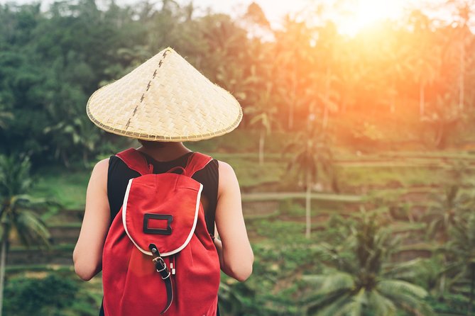 Best of Ubud Attractions: Private All-Inclusive Tour - The Real Logistics: Pickup, Timing, and a 10-Hour Reality Check