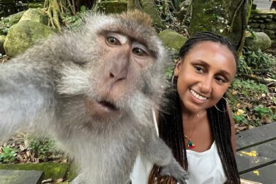 Best of Ubud : Elephant Cave Temple, Monkey forest, Rice Terrace - Price and value: why $27 can work in your favor