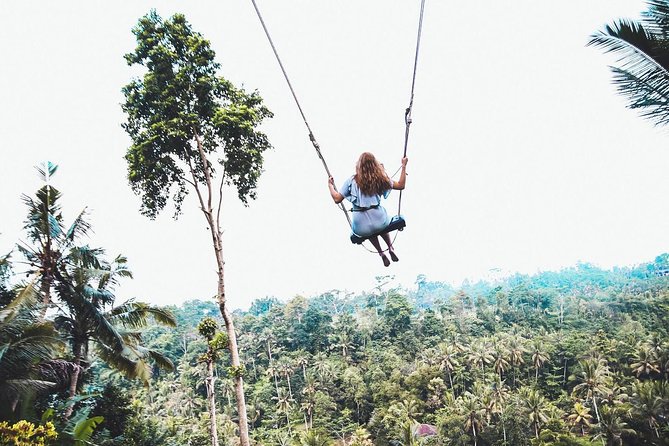 Best of Ubud Full-Day Tour with Jungle Swing - Hotel Pickup, Private Minivan, and Why Time Management Matters