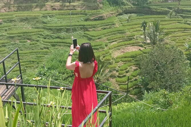 Best Of Ubud Half Day Private Guided Tour - Price and value: what $23 buys (and where to expect extras)