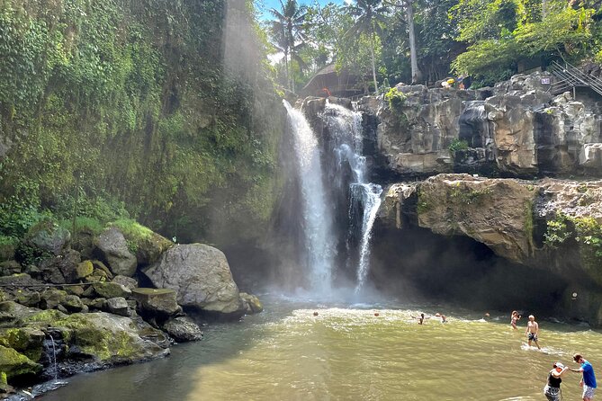 Best Of Ubud Half Day Private Guided Tour - Tegalalang Rice Terrace and the giant swing: where the photos are won
