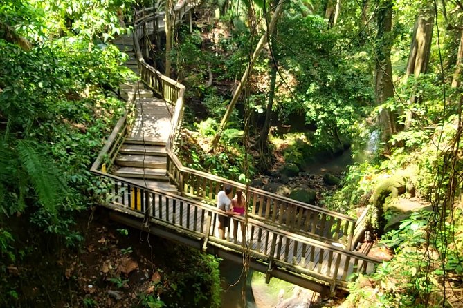 Best of Ubud - Kintamani Volcano View - Private Tour - Sacred Monkey Forest Sanctuary: a temple-adjacent animal encounter