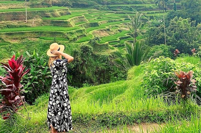 Best of Ubud - Kintamani Volcano View - Private Tour - Tegalalang Rice Terraces: why this viewpoint is worth your time