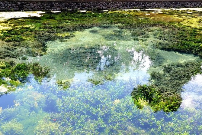 Best of Ubud - Kintamani Volcano View - Private Tour - Price and value: is $63 per person a good deal?