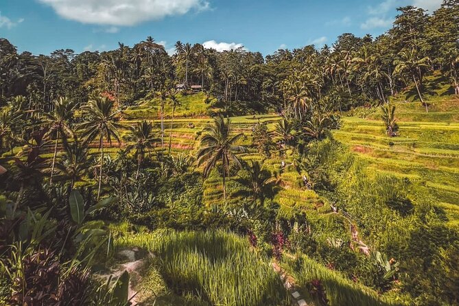 Best Of Ubud Private Day Tour With Local Guide - Stop 4: Tegenungan Waterfall for a Major Bali Classic (Without Extra Detours)