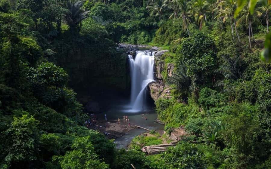 Best of Ubud - Private Guided Full-Day Tour, Ubud, Bali - Sacred Monkey Forest Sanctuary: Temples, Shade, and 700+ Long-Tailed Macaques