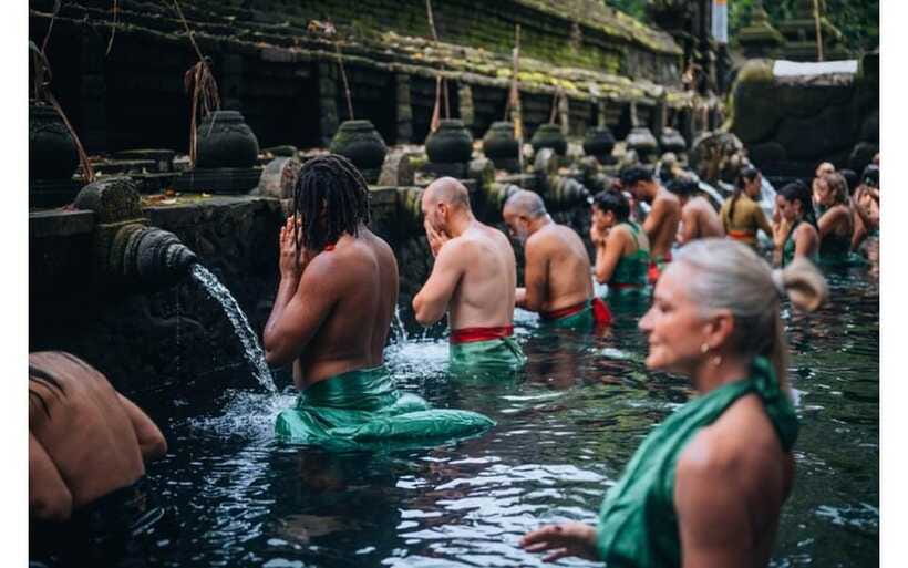 Best of Ubud - Private Guided Full-Day Tour, Ubud, Bali - Tegallalang Rice Terrace Views and the Subak Lesson