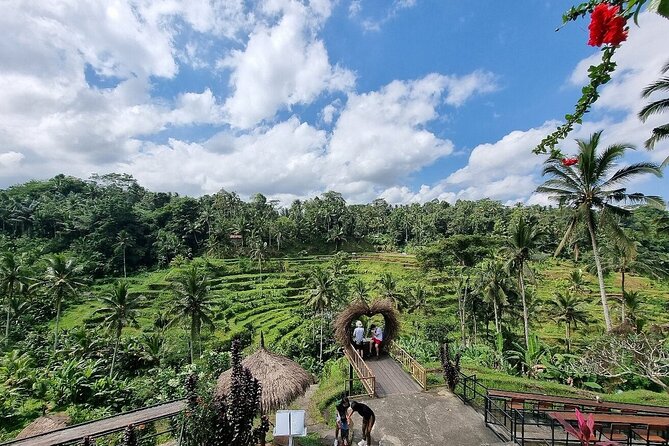Best of Ubud Private Tour with Jungle Swing Experience - Price and Value: Why $33 Per Person Can Make Sense