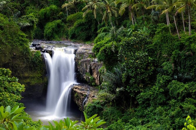 Best of Ubud: Rice Terrace, Temple and Waterfall Private Tour - Tegalalang Rice Terrace: photo time, farmer-life watching, and real walking