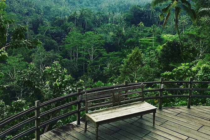 Best of Ubud: Rice Terrace, Temple and Waterfall Private Tour - The program’s big bonus: you can add or skip Bali highlights