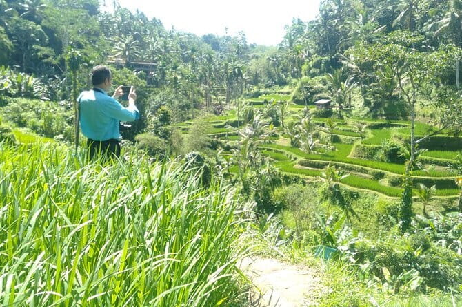 Best Of Ubud Scenic Full Day Private Guided Tour - Key highlights you’ll feel right away