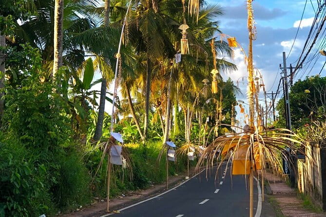 Best Of Ubud Scenic Full Day Private Guided Tour - How Seminyak pickup sets up your Ubud day