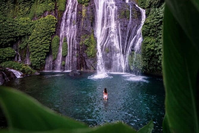Best Of Ubud Scenic Full Day Private Guided Tour - Tegalalang rice terrace: classic Ubud views with real walking time