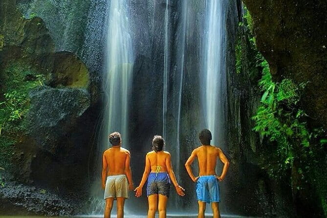 Best Of Ubud Scenic Full Day Private Guided Tour - Tirta Empul Temple: holy water visit with a guide at your side