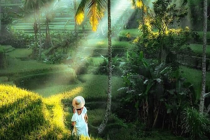 Best of Ubud Tour: Monkey Forest, Rice Terraces & Waterfall - Ulu Petanu Waterfall: A Cooling-Off Stop With Real Time to Enjoy It