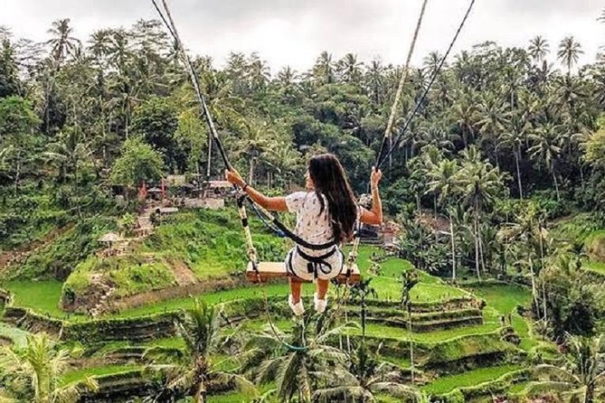 Best of Ubud Tour with Jungle Swing Private and All Inclusive - Tegalalang Rice Terrace: the view before the swing