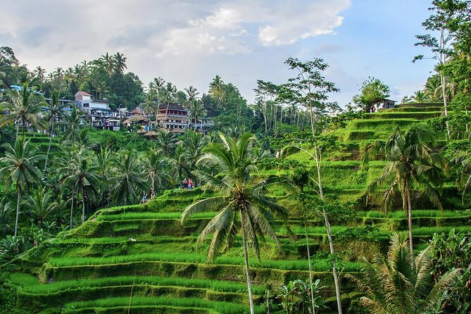 Best of Ubud Tours with Jungle Swing ( All Inclusive ) - Why This Ubud Day Feels Easier Than Self-Driving in Bali