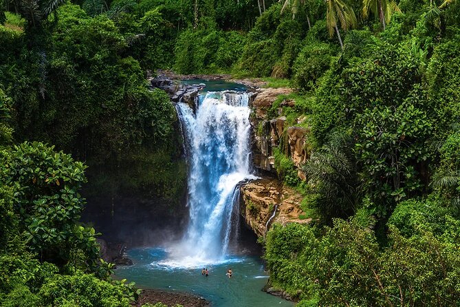 Best of Ubud Tours with Jungle Swing ( All Inclusive ) - Ubud Swing Experience: The All-Inclusive Photo Moment