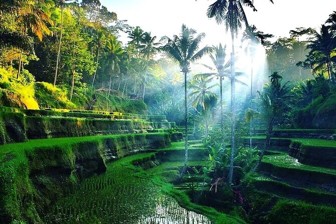 Best of Ubud - Ubud Tour Popular - All Inclusive - Private best-of-Ubud day: how the “all inclusive” part actually helps you