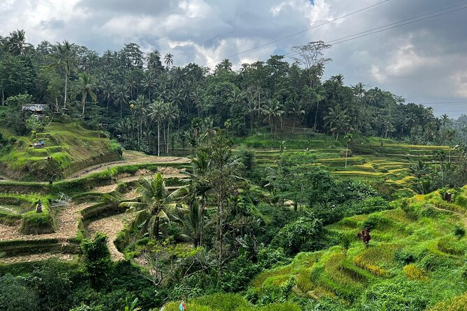 Best of Ubud - Ubud Tour Popular - All Inclusive - Ubud Traditional Art Market: where you can shop without derailing the day