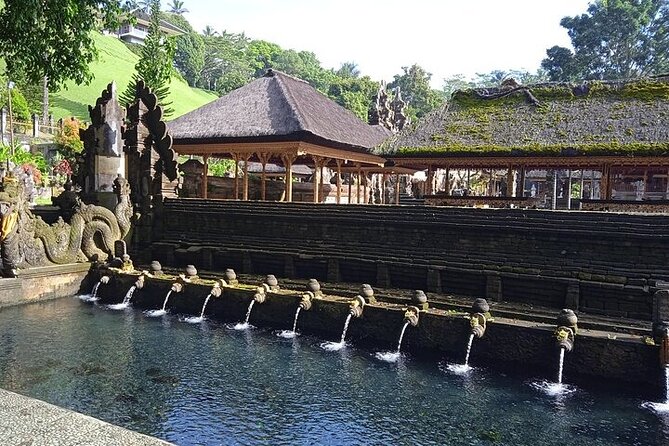 Best of Ubud - Ubud Tour Popular - All Inclusive - Price and value: why $52 per person makes sense (and when it doesn’t)