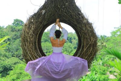 Best of Ubud Village Private Tour with Jungle Swing All Inclusive - Tegenungan Waterfall Viewpoint: Big Scenery Without the Descent