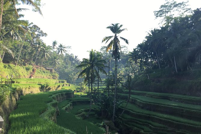 Best of Ubud Waterfalls, Tegalalang Rice Terrace and Swing Tour - Tibumana Waterfall: stairs, rice views, and a quieter feel