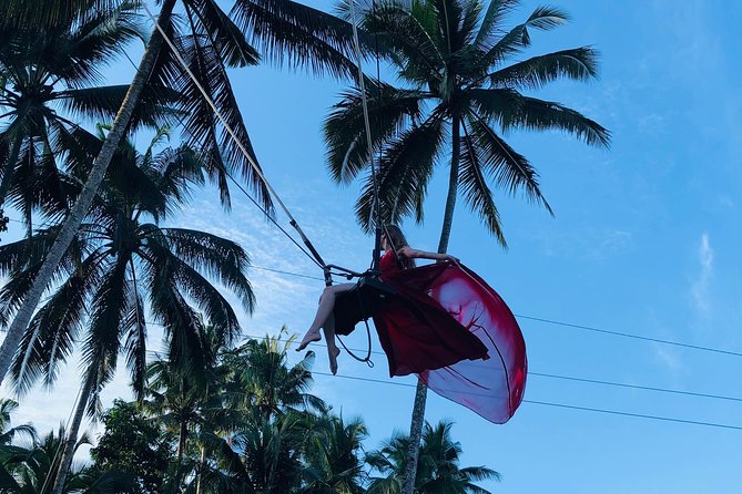 Best of Ubud with Jungle Swing Experience - Sacred Monkey Forest Sanctuary: Watching Macaques Without Chaos