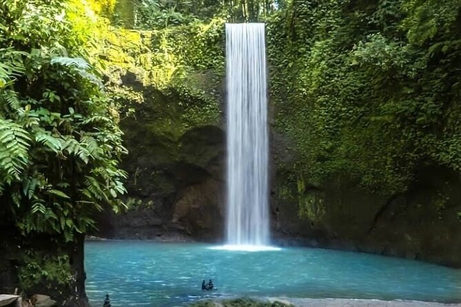 Best of Waterfalls: Tibumana waterfall, Tukad Cepung, & Tegenungan - Coffee Plantation Time to End the Day (Then Head Back)