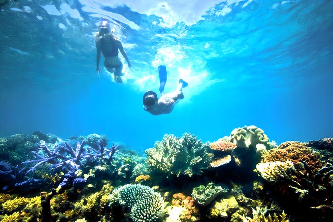 Best Snorkeling Activity in Blue Lagoon Beach Bali - Marine life you’ll likely spot (and how to look for it)