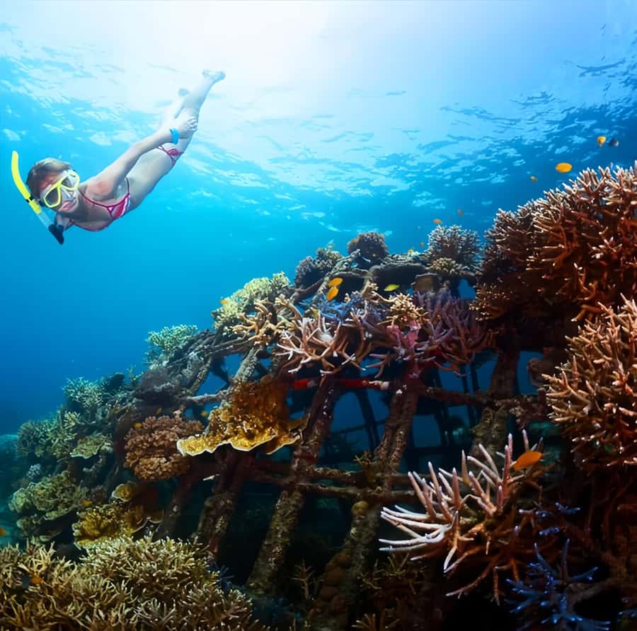 Best Snorkeling Adventure in Bali with Exciting Activities - Blue Lagoon: why this spot works so well for snorkel-first days