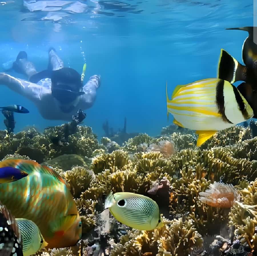 Best Snorkeling Adventure in Bali with Exciting Activities - The Ubud add-on: how a cultural stop fits into a water-focused day