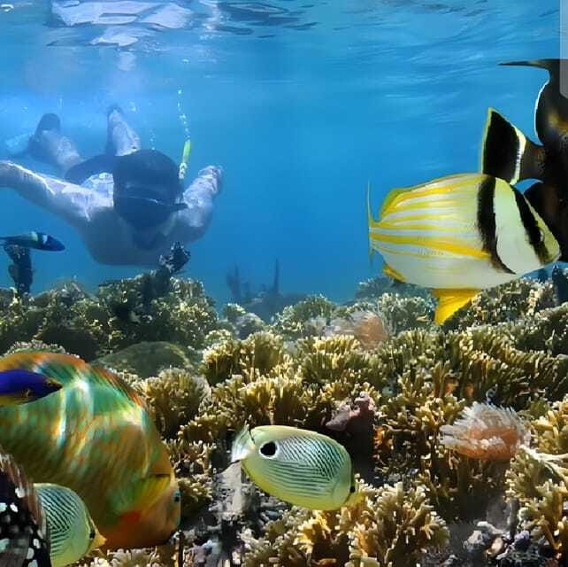 Best Snorkeling Adventure in Bali with Exciting Activities - Boat day setup: what a 12-person capacity means in practice