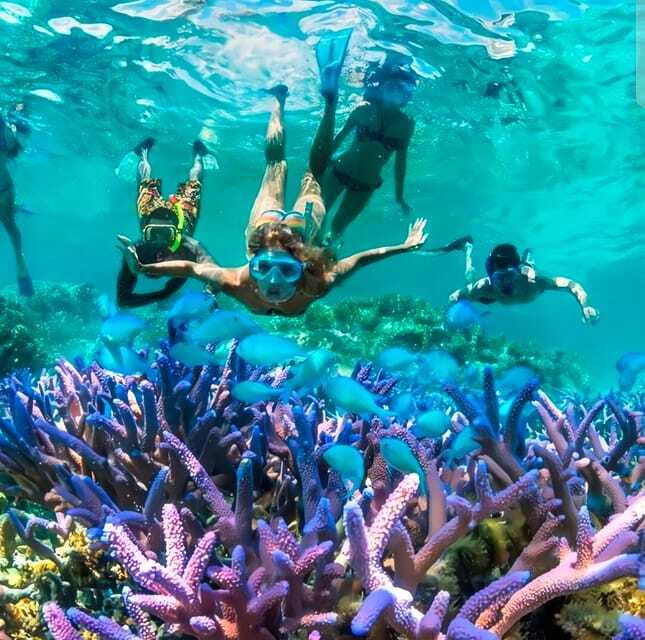 Best Snorkeling Adventure in Bali with Exciting Activities - What to watch out for before you pay