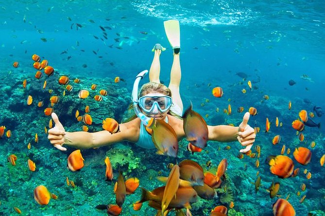 Best Snorkeling Trip at Blue Lagoon Bali - Blue Lagoon Beach: the first reef check