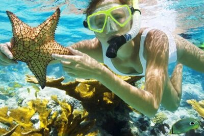 Best Snorkeling Trip at Blue Lagoon Bali - Padang Bai fishing village start: why this first leg helps
