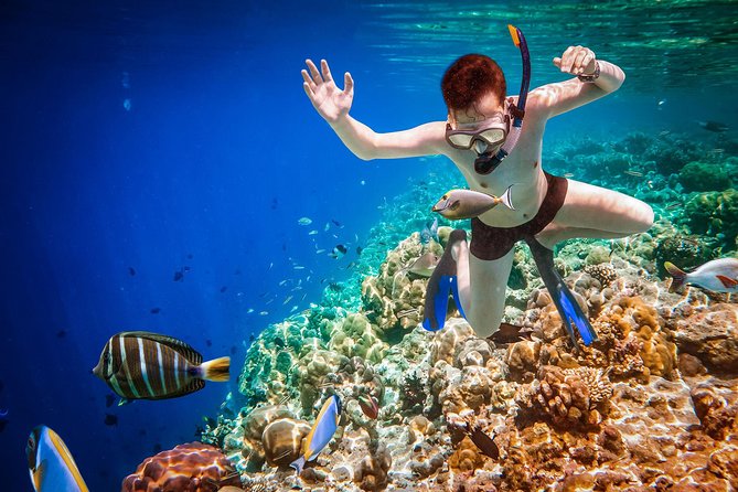 Best Snorkeling Trip at Blue Lagoon Bali - Snorkeling gear and guide help: why it changes the day