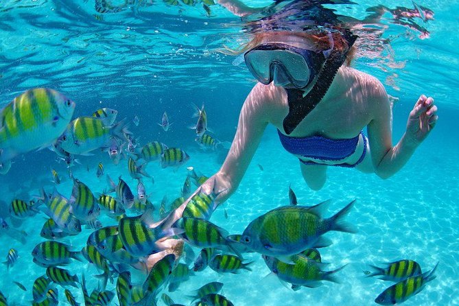 Best Snorkeling Trip at Blue Lagoon Bali - Price, what’s included, and what to bring