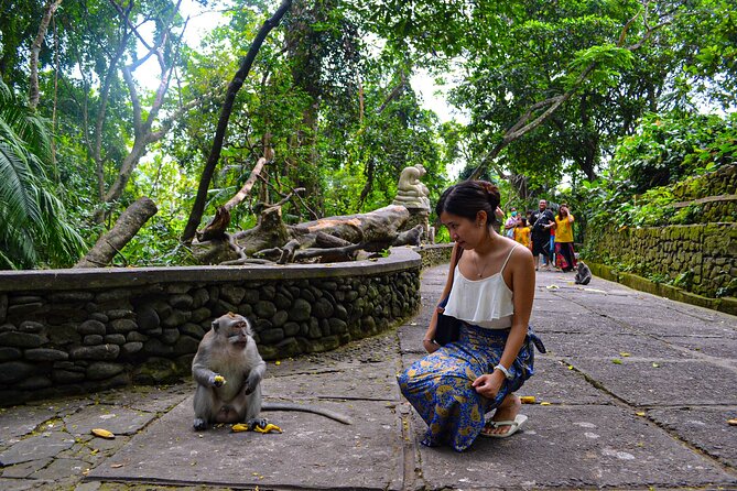 Best Ubud Highlights - Private Day Tour - Stop 3: Tegalalang Rice Terrace (the views and the meaning)