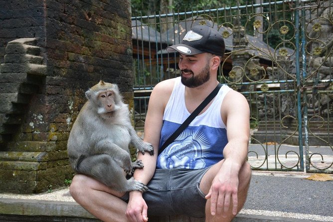 Best Ubud & Tanah Lot Excursion - Private transportation that keeps the day comfortable
