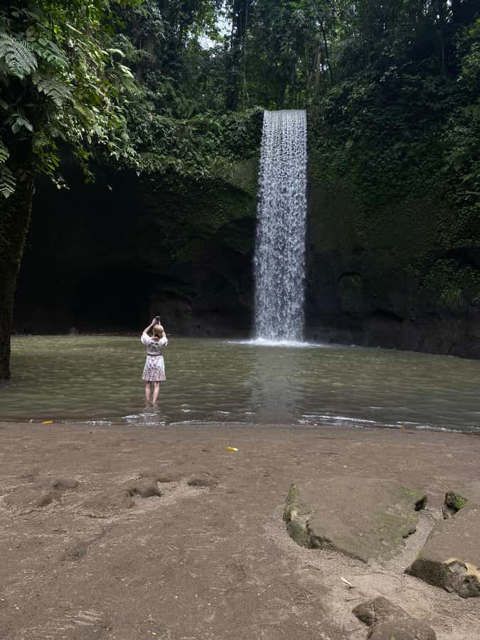 Best Watefalls, Monkey Forest, Temple and Rice terrace - Tegalalang Rice Terrace and Jungle Swing: Views Plus Adrenaline