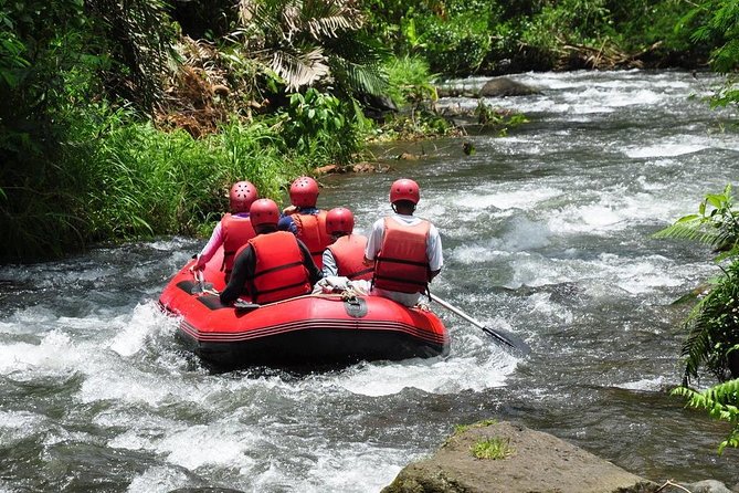 Best White Water Rafting in Bali - Price and Value: Is $36.70 Good for Ayung River Rafting?