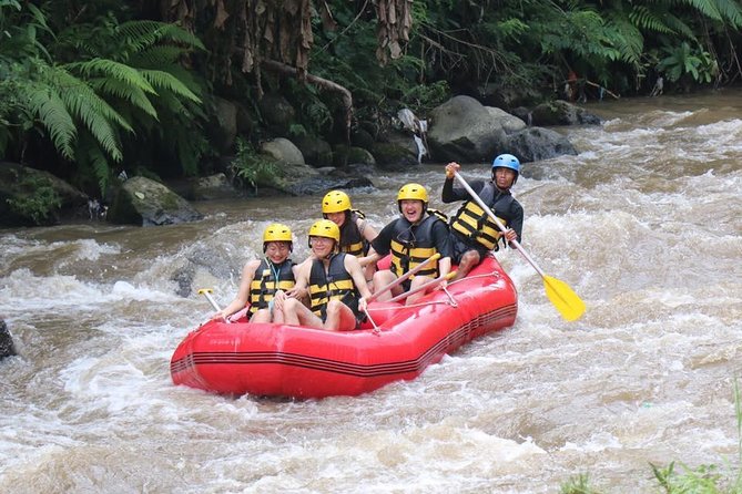 Best White Water Rafting in Bali - Meeting Point at Bali Tarantula Adventure (and Why Transfers Matter)