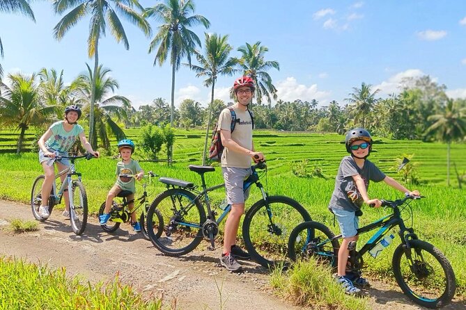 Bike ride in the rice fields, Bali countryside - Key Points to Know Before You Pedal