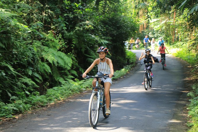 Bike ride in the rice fields, Bali countryside - Why This Bali Rice-Field Ride Feels Different From Usual Day Tours