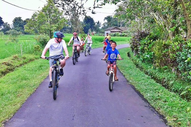 Bike ride in the rice fields, Bali countryside - School Visit: A Small Stop With Big Impact (On School Days)