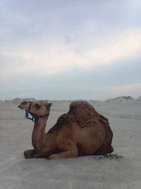 Bintan Desert And Blue Lake Private Tour - Your Driver Matters More Than You Think