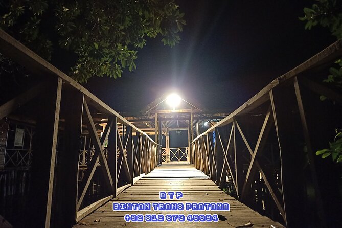 Bintan Fireflies Discovery Tour - Key Things I’d Book This For